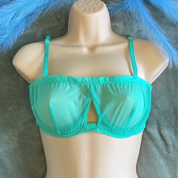 Wired bra - 30-38 DD - Teal - We are HAH(FP) - NWT - #62300 - Picture 2 of 10